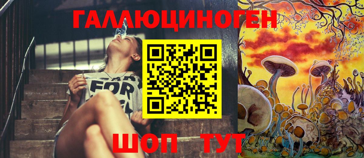 Скопин  Псилоцибиновые грибы Psilocybe  Псилоцибиновые грибы GOLDEN TEACHER  Вход с VPN 