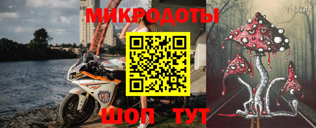 Псилоцибиновые грибы Psilocybine cubensis Скопин